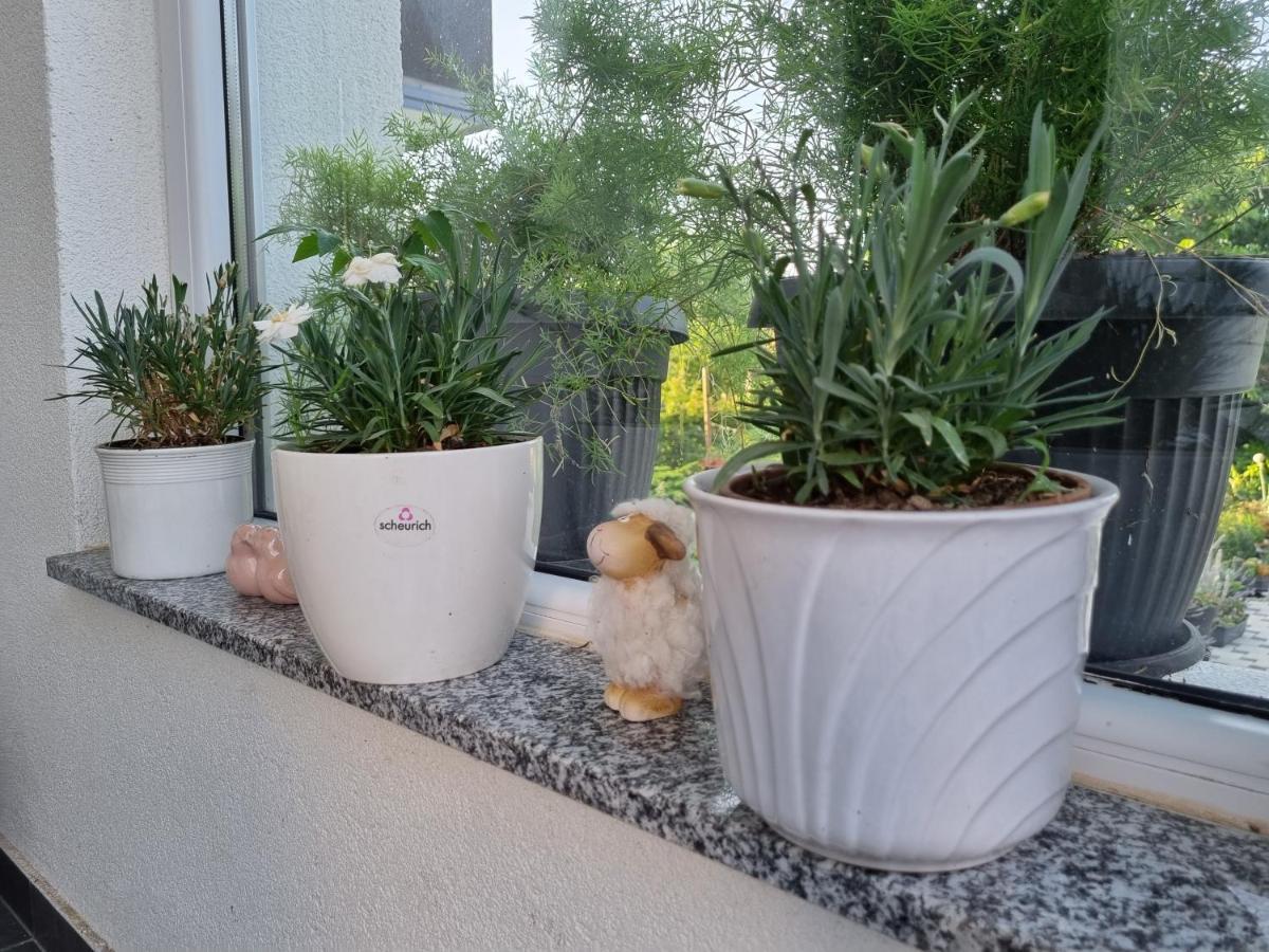 Apartman Nataly Varaždin Exterior foto